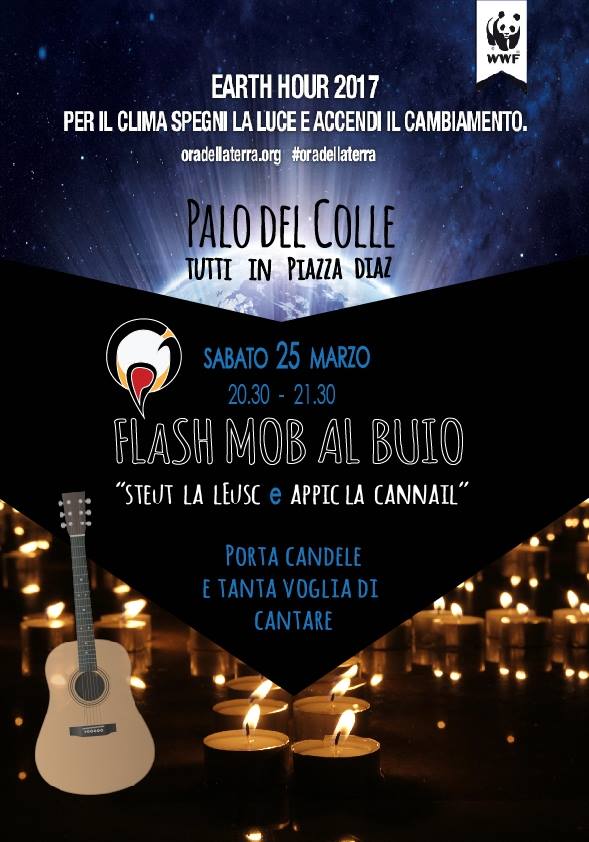 Flash Mob - Steut la leusc e appic la cannail